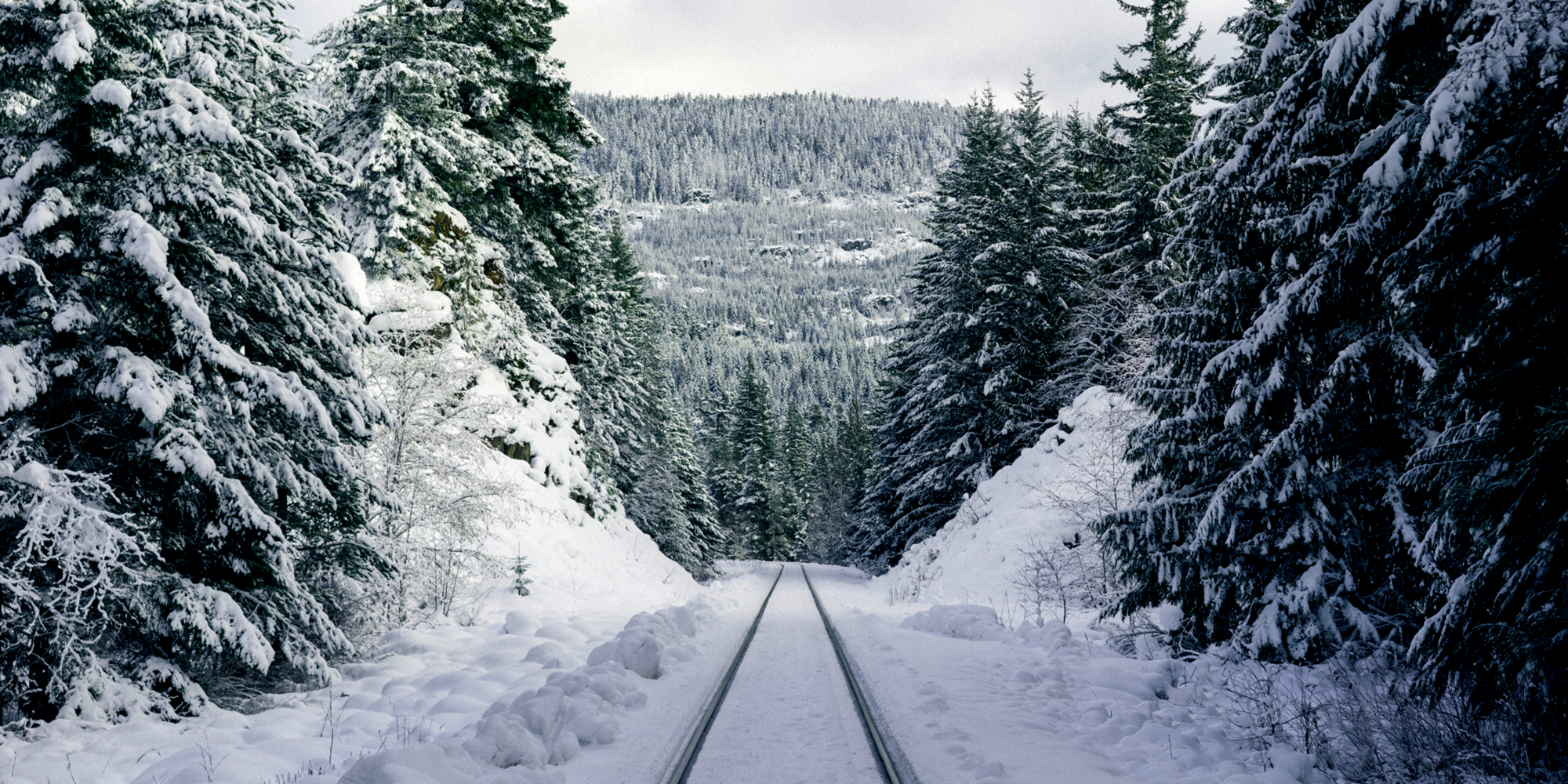 train tracks in a snowy forest