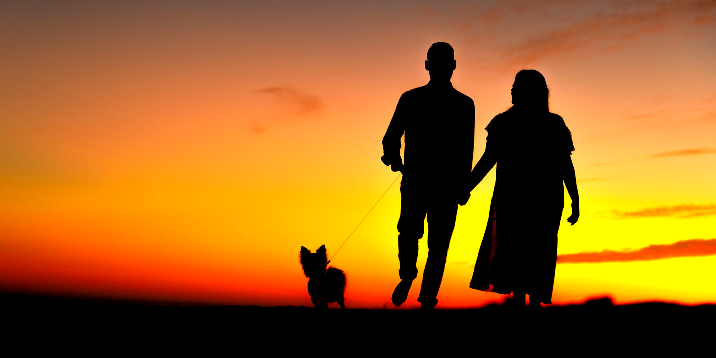 couple walking dog into sunset