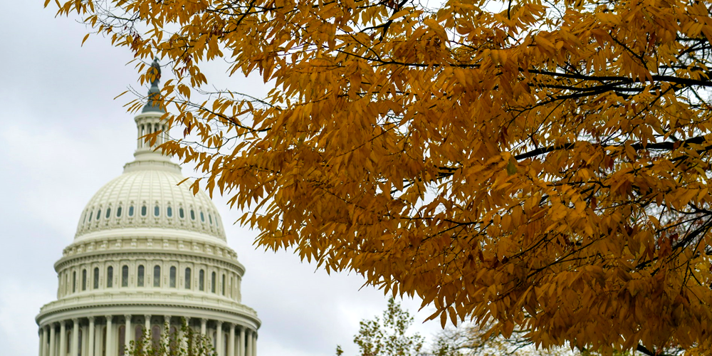 changing leaves with the US Capitol building in the background